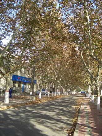 公司外景 公司外景